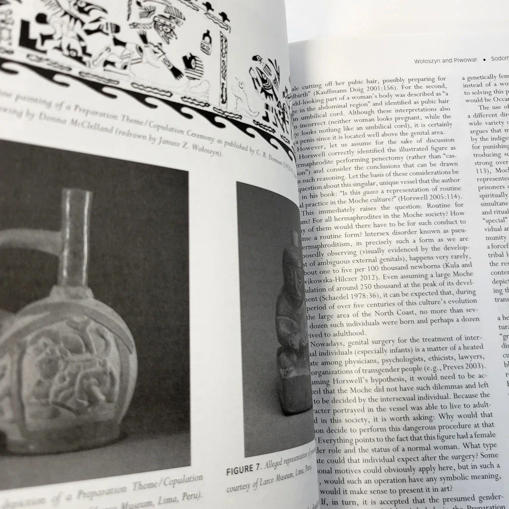 American Anthropologist Vol 117 No 2 June 2015‎ Anthropology Journal Softcover